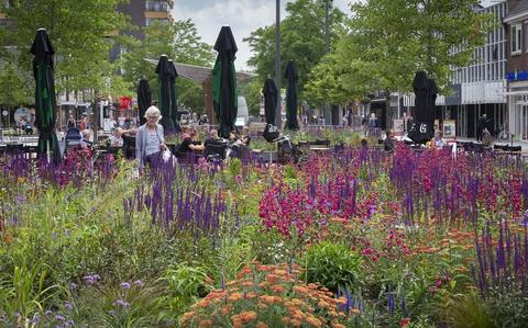 De bloembakken op de Hoofdstraat staan vol met fleurige wilde bloemen.