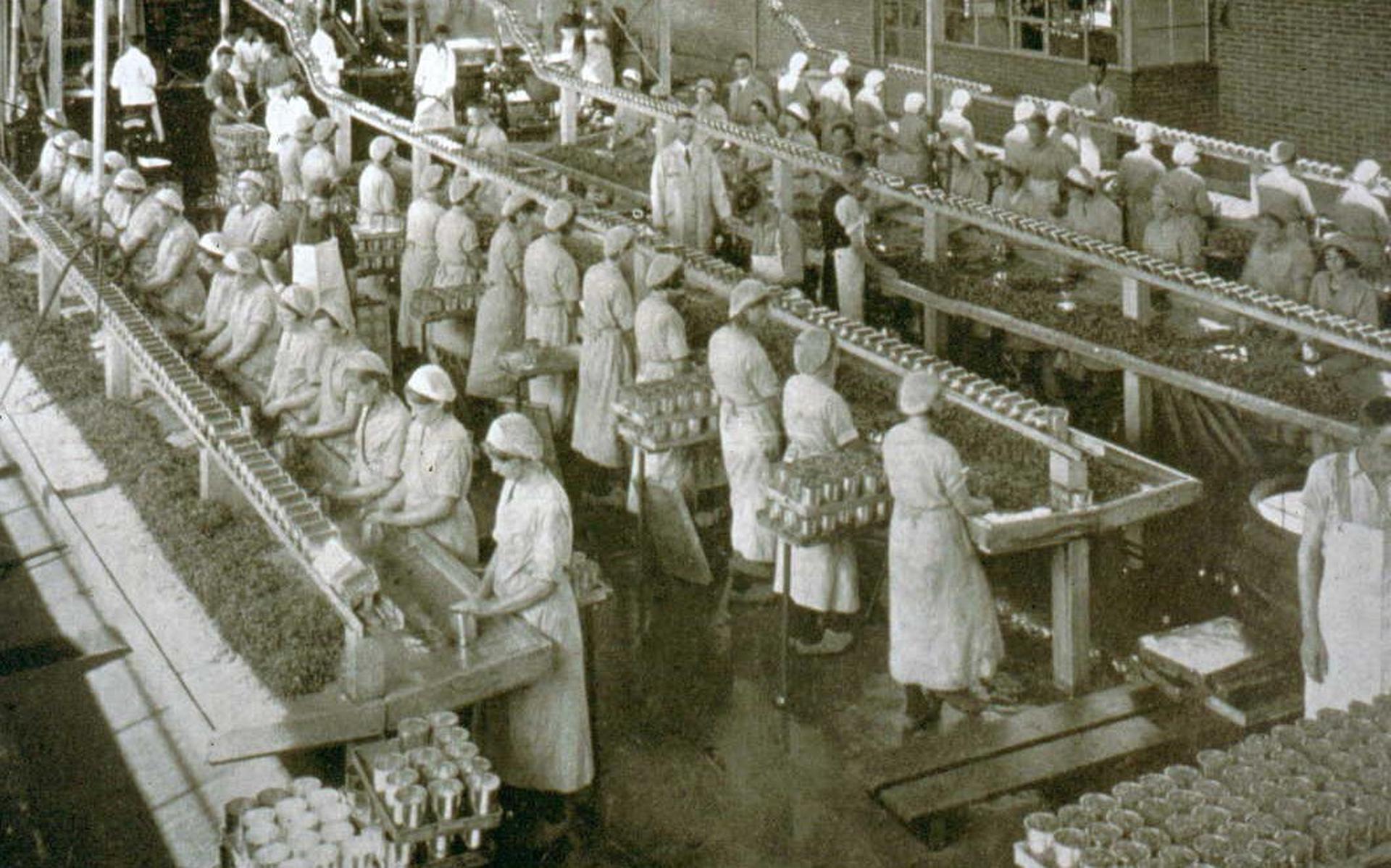 In de fabriek Aardenburg zijn medewerkers conserven aan het inpakken. Dit is waarschijnlijk tussen 1935 en 1939.