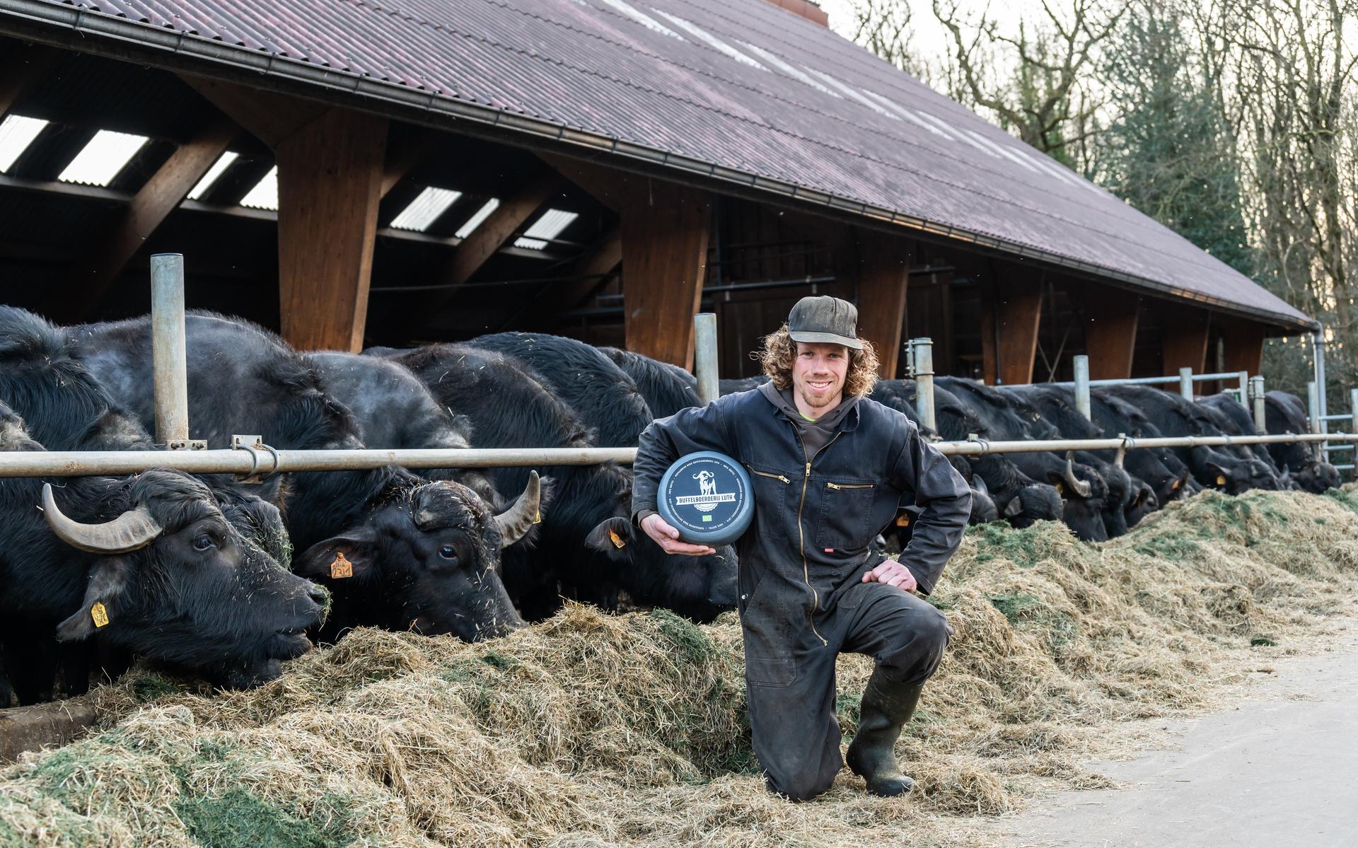 Buffelboerderij Luth in Eursinge houdt drive-thru: genieten van buffels en proeven van kaas en mozza