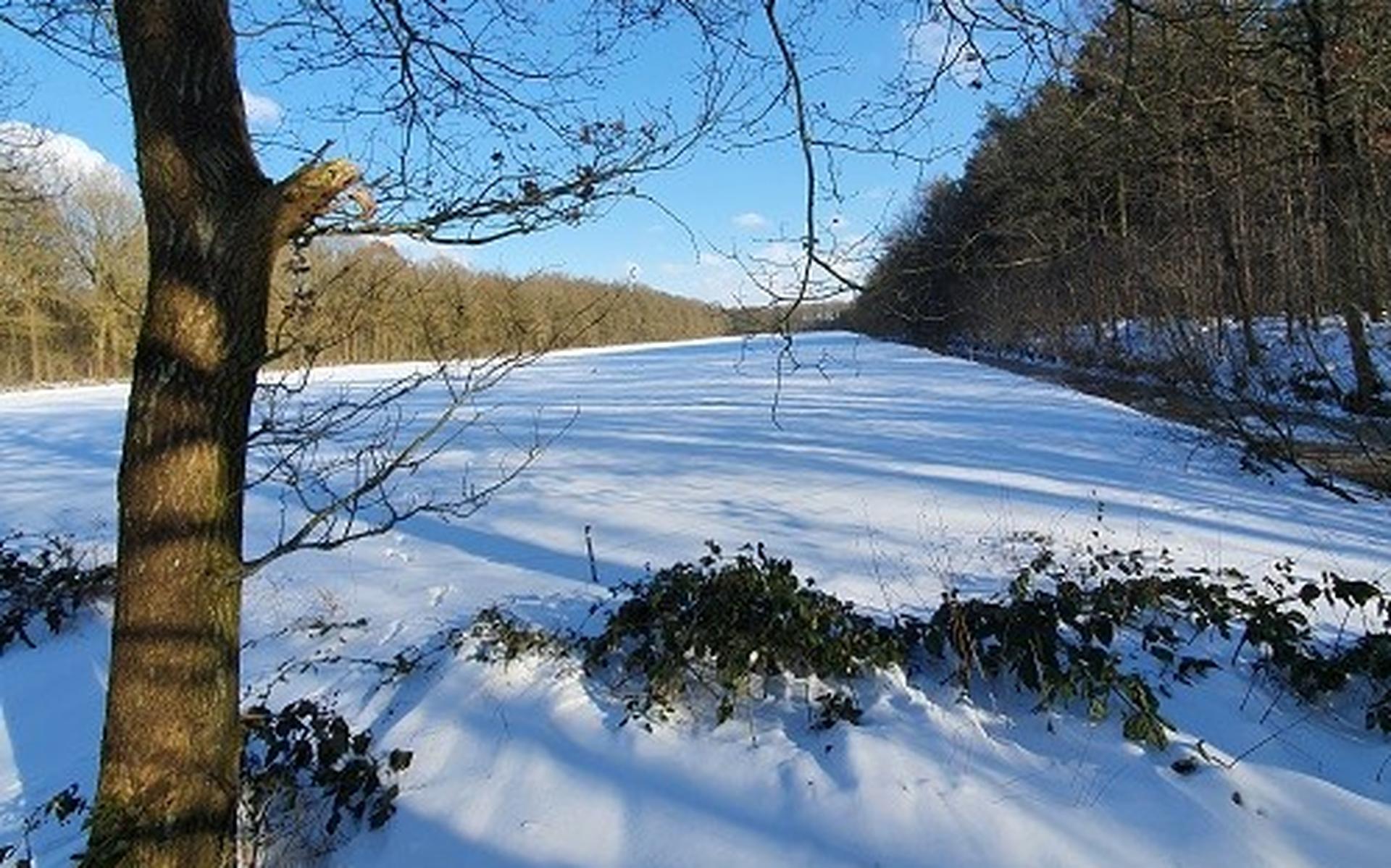De winterwandeling van 't Anker.