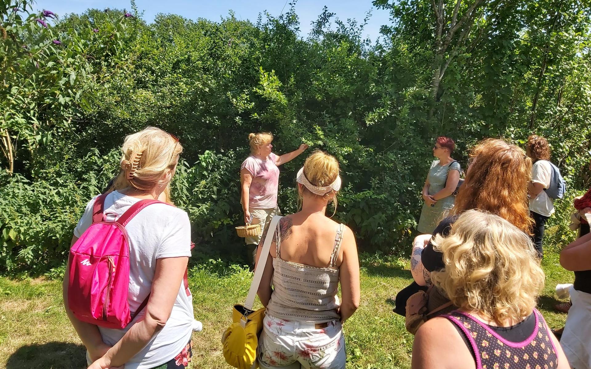 Wildplukwandeling.
