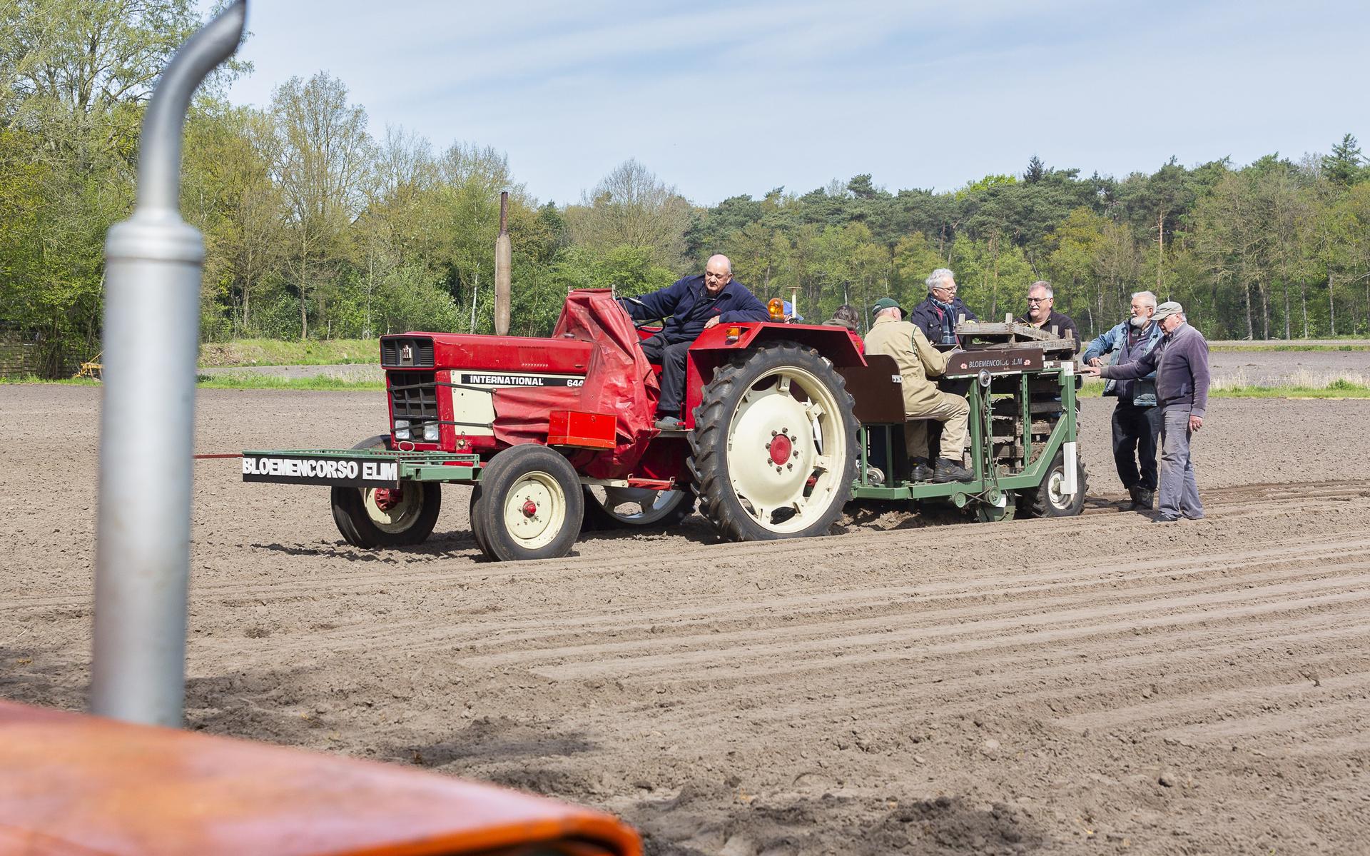 Vrijwilligers planten Dahliabloembollen aan de Carstensdijk.