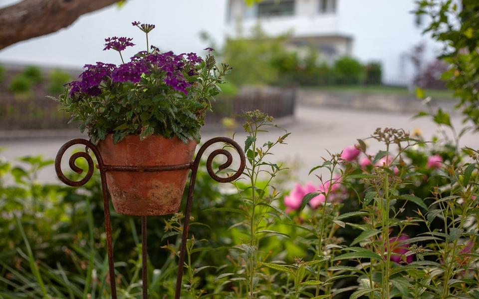 Mensen zetten de tuin open voor de tuinmarkt.