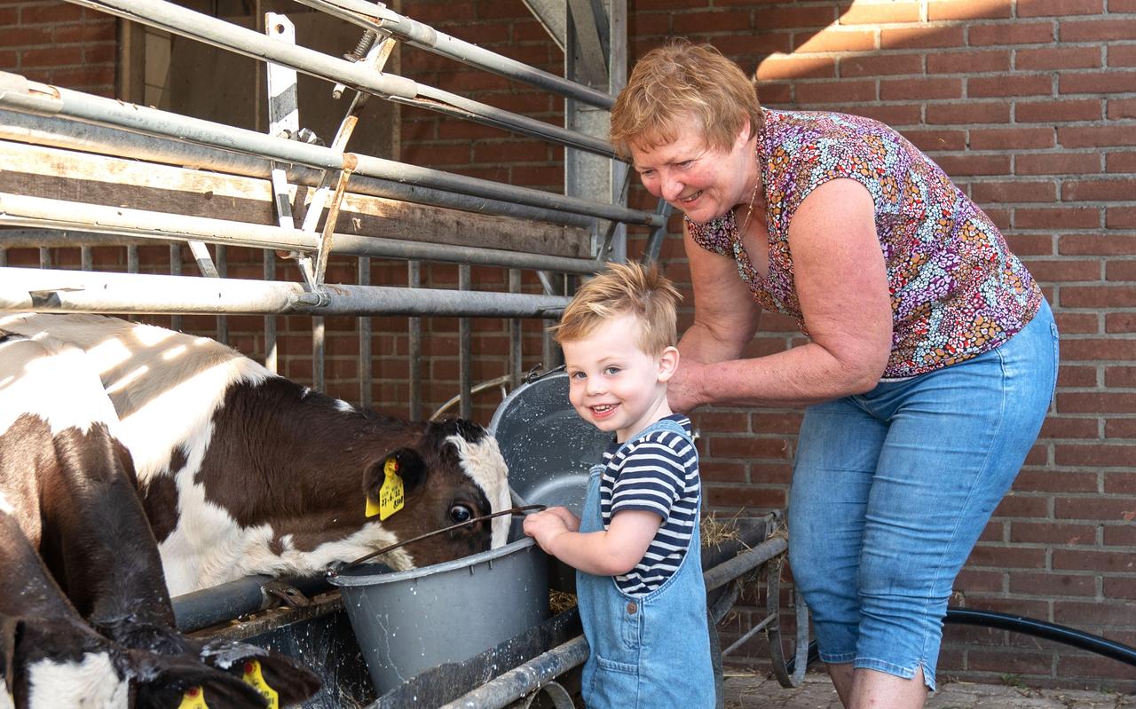 Annie Steenbergen en kleinzoon bij de kalfjes. Annie Steenbergen en kleinzoon bij de kalfjes.