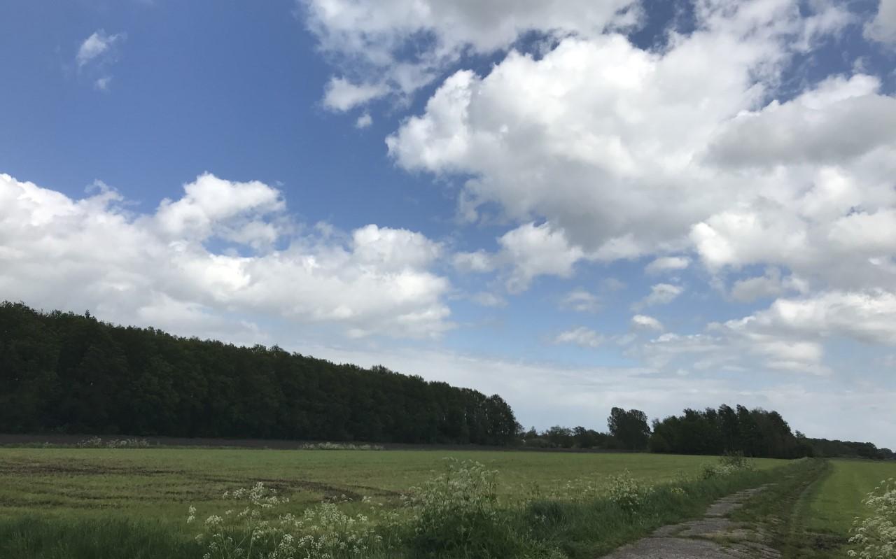 De kavels op Riegmeer liggen nu nog braak, maar hoe lang? De kavels op Riegmeer liggen nu nog braak, maar hoe lang?