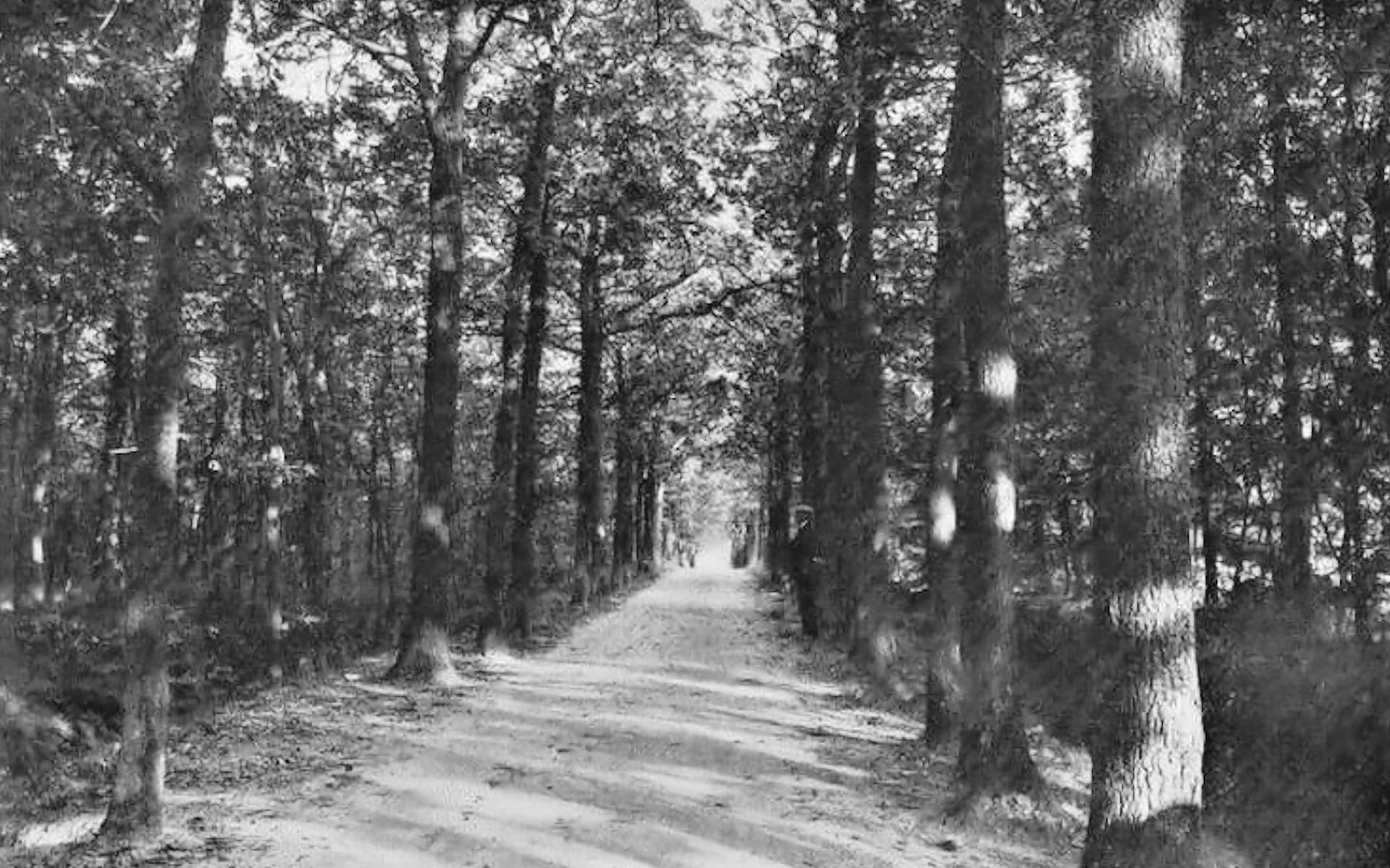 Kerkhoflaan, tijdloos, het plaatje is pakweg 80 jaar oud.