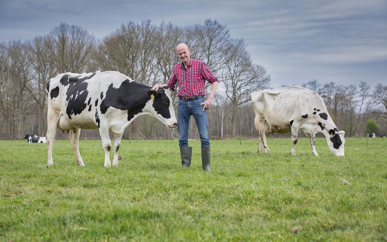 Evert kent alle koeien bij naam en laat ze zo veel mogelijk grazen in de wei.