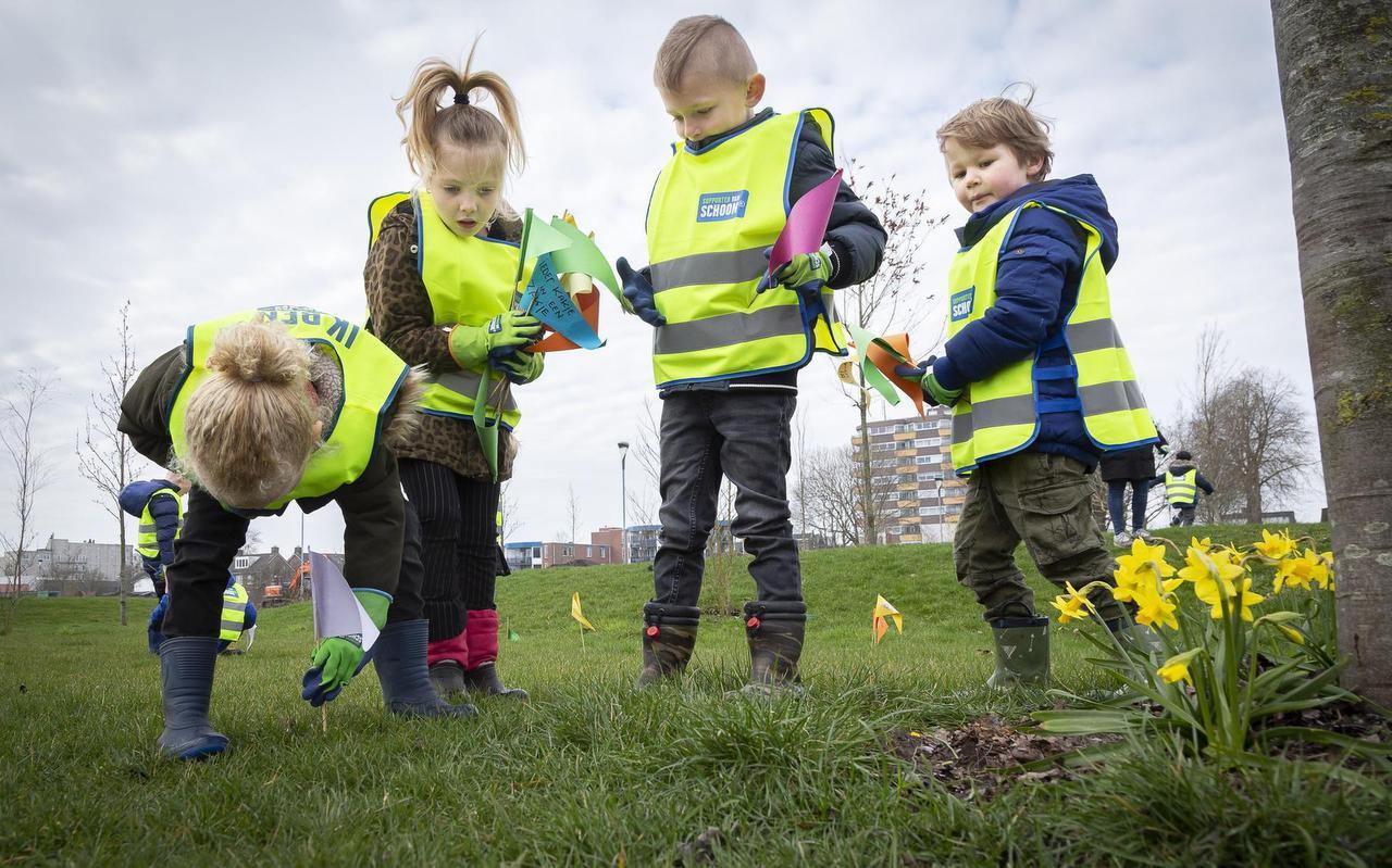 Kleutertjes van basisschool Villa Kakelbont hebben vorig voorjaar vlaggetjes gezet bij hondenpoep in Park Dwingeland om aandacht te vragen voor het hondenpoepprobleem. Kleutertjes van basisschool Villa Kakelbont hebben vorig voorjaar vlaggetjes gezet bij hondenpoep in Park Dwingeland om aandacht te vragen voor het hondenpoepprobleem.
