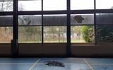 Het schoolgebouw aan de Randweg, hier zal Squid Tournament gaan plaatsvinden.