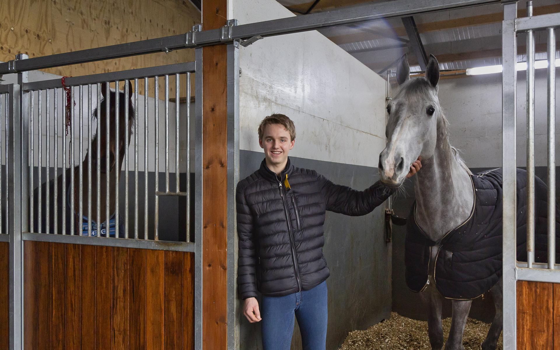 Rick Logtenberg (22) traint jonge paarden in zijn eigen stal in Kerkenveld. 'Kwaliteit leveren is in