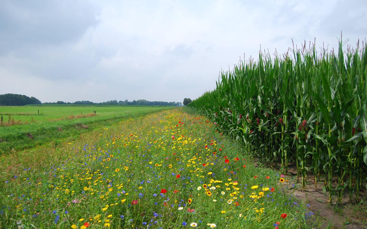 Een natuurinclusieve landbouw houdt rekening met alle belangen. Een natuurinclusieve landbouw houdt rekening met alle belangen.