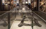 Bij Kamp Westerbork kwamen de afgelopen decennia wel 10.000 archeologische vondsten uit de bodem. 