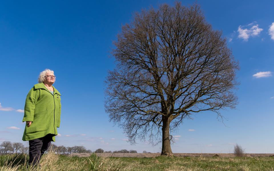 Alie Kroezen hoopt dat de zomereik op bedrijventerrein Riegmeer behouden kan blijven. Haar opa Wolter plantte de monumentale boom. 
