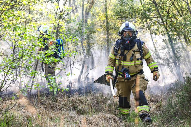 LIVE | Forse natuurbrand in bos langs Scholtenskanaal in Klazienaveen