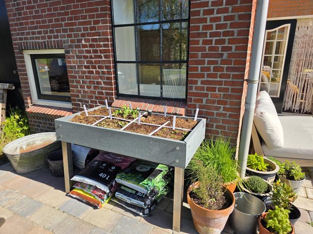 Veel variatie tijdens Kunstzinnige Tuinen Noordscheschut. Kunstenaars en tuineigenaren slaan handen 